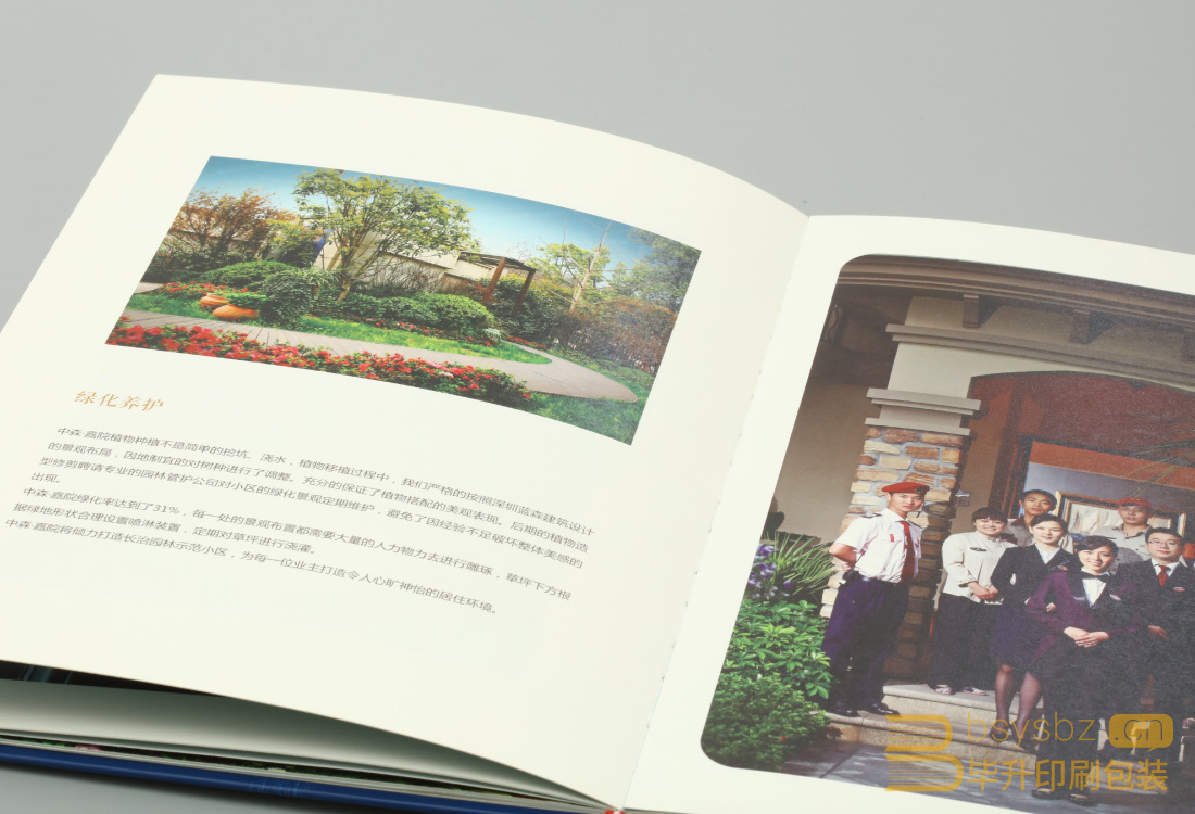 精裝畫(huà)冊(cè)