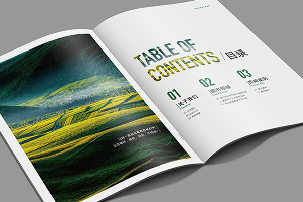 南京企業(yè)畫冊(cè)印刷 南京企業(yè)畫冊(cè)印刷