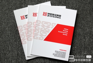 南京鐘星集團(tuán)有限公司企業(yè)宣傳冊(cè)