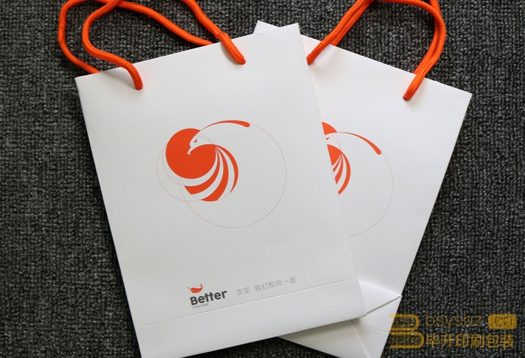 金鷹醫(yī)療美容藝術(shù)紙手提袋專(zhuān)色印刷